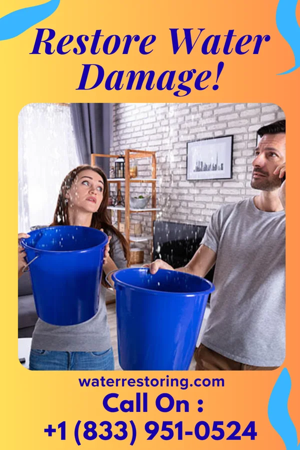 water restoration Modern Storm Recovery LLC Palm Valley